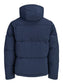 Galaxy Puffer