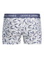 JACHARVEY TRUNKS 3 PACK