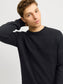 JPRBLUNOAH KNIT CREW NECK BF LN