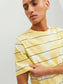 JORPALMA AOP STRIPE TEE SS CREW NECK